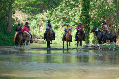 From Chicago: 1-Hour Nature Horseback Ride