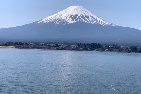 Tokyo: Mount Fuji Nagano Nikko - Guided Tour