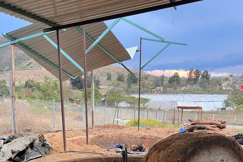 Oaxaca: Aguamiel, Pulque and Mezcal Tasting