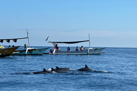 Lovina/Bali: Delfinskådning, simning och snorklingPrivat båttur med mötesplats