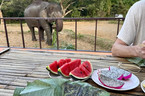 Chiang Mai : Visite de deux jours du sanctuaire du Temple des éléphants