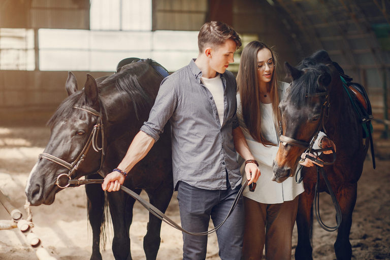 Lucerne: Private Horseback Riding & Swiss Aperitif