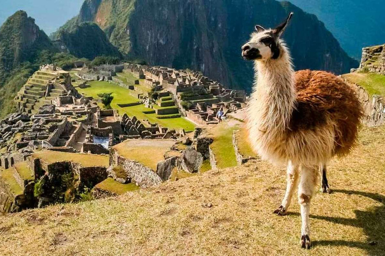 Peru Fantastic Lima-Ica-Cusco, Machupicchu, Lake Humantay 8D