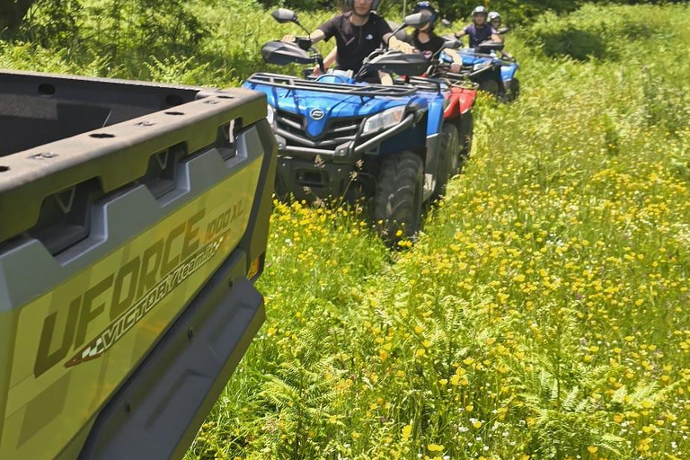 Lake Laceno: Wonderful Guided Quad Tour through Forests and Dirt Trails Lake Laceno: Wonderful guided quad tour through woods and along dirt tracks