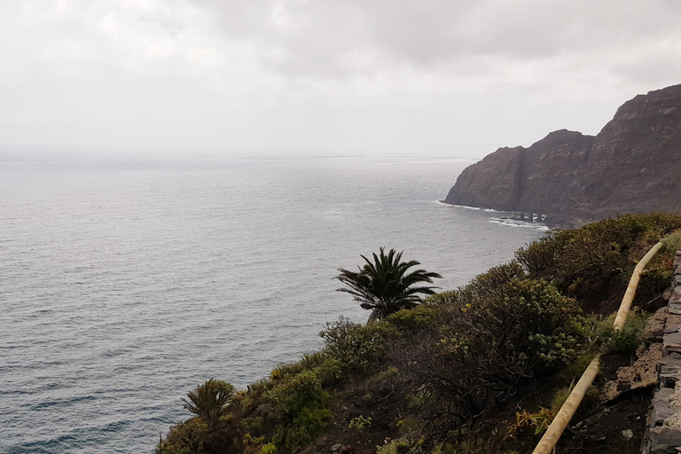 Desde el Sur de tenerife : La Gomera full day trip