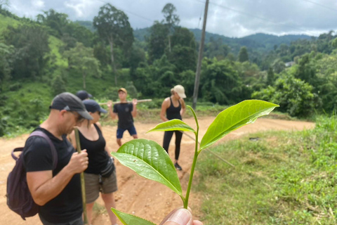Chiang Rai Trek: 4 Hilltribes Villages & Waterfall Only Walk
