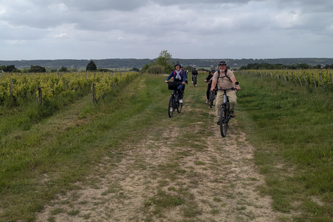 Amboise: Bike ride through the vineyards (wine guide, natural wine) Amboise: Bike getaway in the vineyards (wine guide, natural wine)
