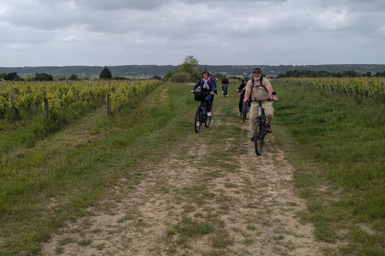 Amboise: Bike ride through the vineyards (wine guide, natural wine) Amboise: Bike getaway in the vineyards (wine guide, natural wine)