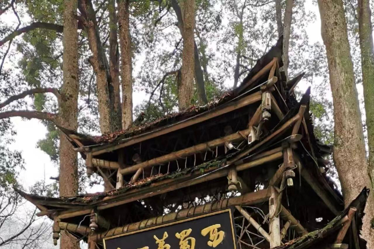 Chengdu: Dujiangyan & Qingcheng Mountain Entry Ticket