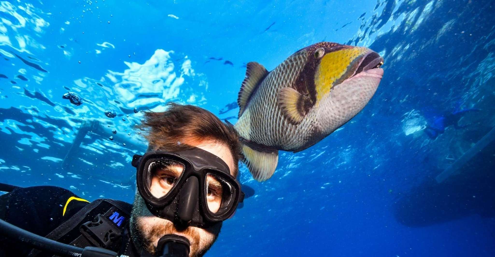 Sharm El Sheikh, Ras Mohamed, White Island, Snorkel & Diving - Housity