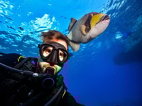 Sharm El Sheikh, Ras Mohammed, White Island, Snorkel and Diving - Housity