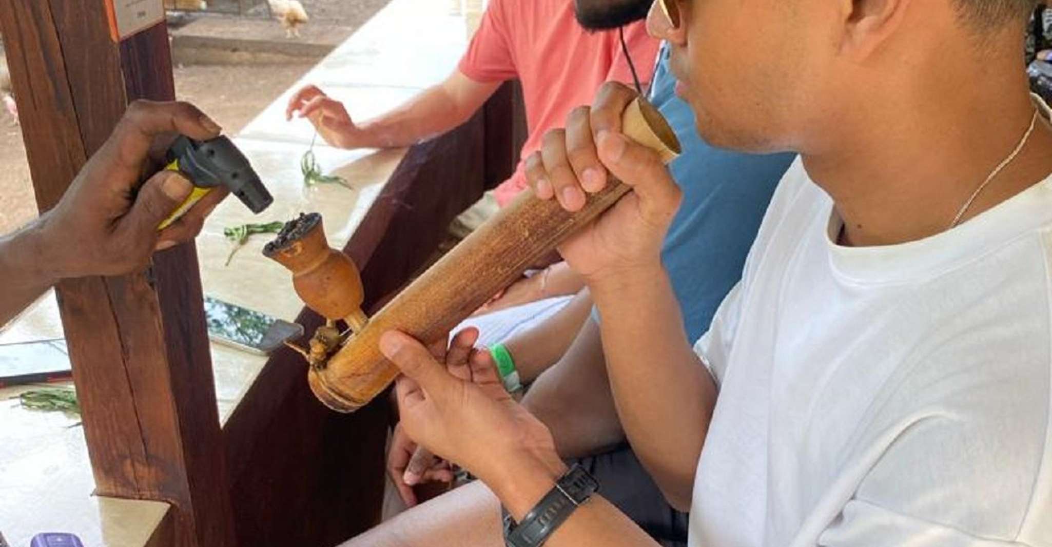 Montego Bay, Marijuana Farm and Bird Sanctuary Tour yakınlarında yapılacak şeyler - Hizvo