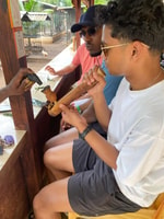 Montego Bay, Marijuana Farm und Vogelschutzgebiet Tour - Hizvo