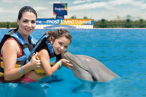 Playa del Carmen: Dolphin Programs Playa del Carmen: Dolphin Program