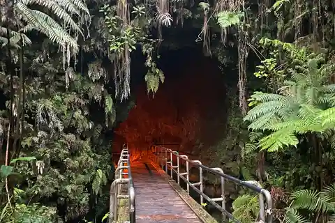 Da Hilo: escursione guidata con il Parco Nazionale dei Vulcani