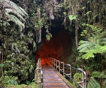 Da Hilo: escursione guidata con il Parco Nazionale dei Vulcani
