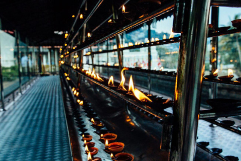 Colombo: Kandy Day Tour, Temple of the Tooth, Tea Factory Mirissa, Hiriketiya pick up area