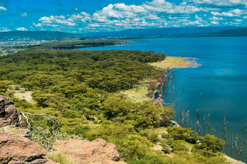 4-Day Masai Mara & Lake Nakuru Safari