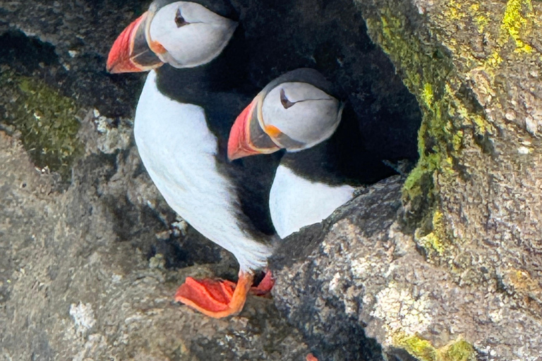 Explore Iceland with Amigos Iceland Tours from Reykjavik