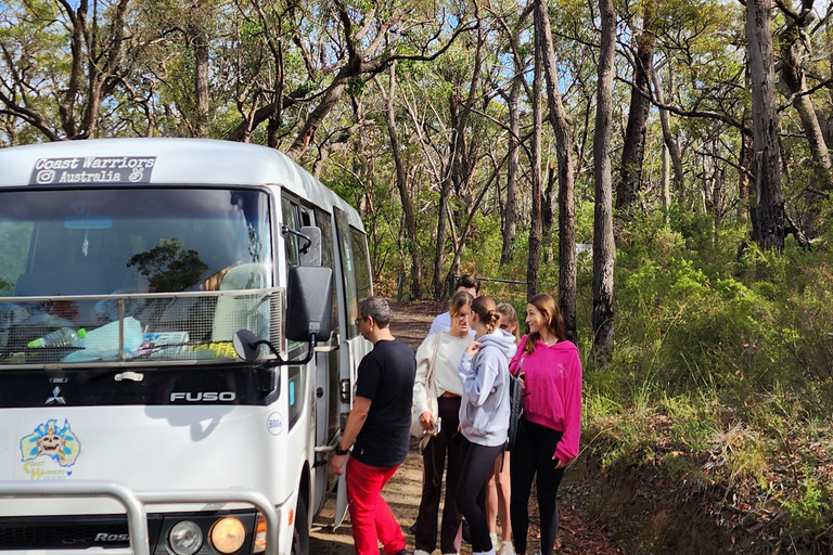 Au départ de Sydney : Excursion dans les Montagnes Bleues avec promenade dans les cascades et déjeunerExcursion dans les Montagnes Bleues avec promenade dans les chutes d'eau et déjeuner