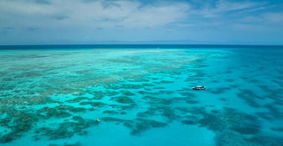 Cairns: Great Barrier Reef Snorkel and Scenic Flight