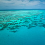 Cairns: Great Barrier Reef Snorkel and Scenic Flight