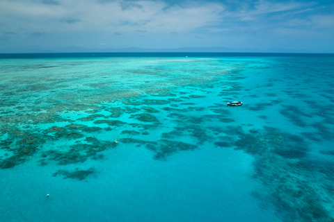 Cairns: Snorkling och naturskön flygning till Stora barriärrevetCairns: Snorkling och naturskön flygning till Stora Barriärrevet