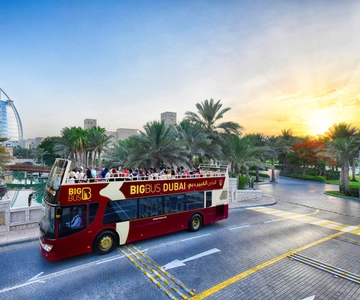 Dubai: Big Bus Hop-On Hop-Off Tour & Dhow Cruise