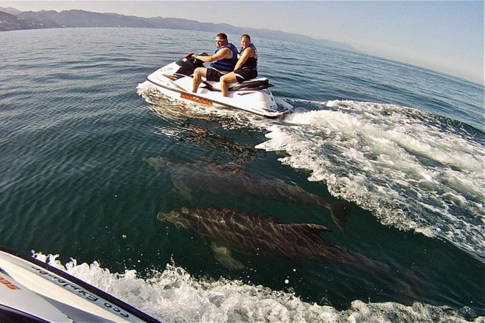 Puerto Vallarta Safari En Jet Ski GetYourGuide