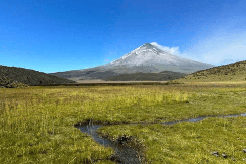 From Quito: Explore Cotopaxi and Baños in one day Small Group