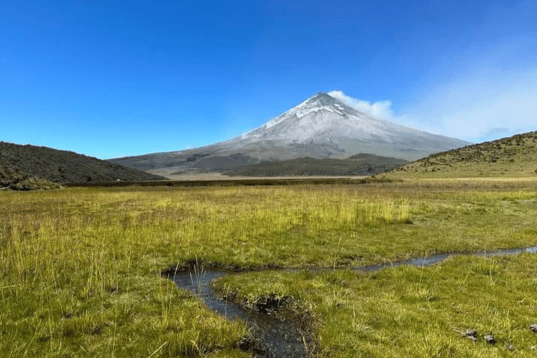 De Quito: Explore Cotopaxi e Baños em um dia