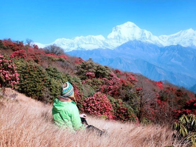 Visit Pokhara 4 Day Poon Hill and Ghandruk Guided Trek in Tadapani, Nepal