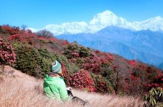 Pokhara: 4 Tage Poon Hill und Ghandruk Geführte Wanderung
