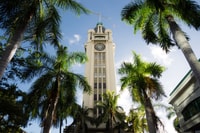 North Shore a Kannnah Walperate et Show à Love Tower - Housity