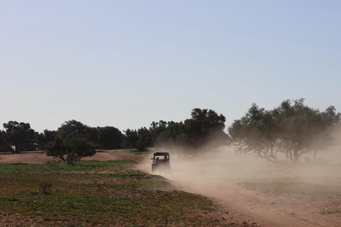 Agadir: Desert Buggy Safari with Hotel Pickup Private Desert Buggy Safari