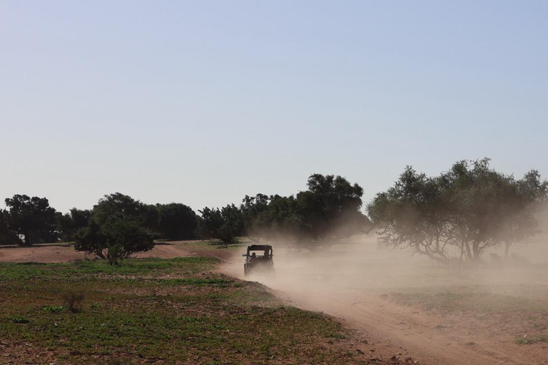 Agadir: Desert Buggy Safari with Hotel Pickup Private Desert Buggy Safari