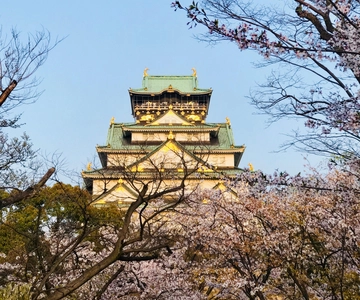 Osaka’s Best: Cherry Blossom, Castle & Culture in One Tour!
