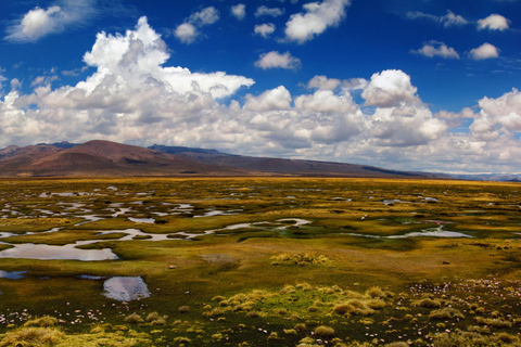 Äventyrsdag i Arequipa: Pillones vattenfall + klippskog