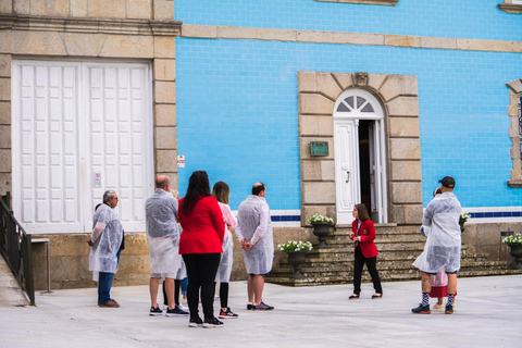 Granbazán Winery: Guided Tour and Wine Tasting Bodegas Granbazán: Visita Guiada y Cata de Vinos (Español)
