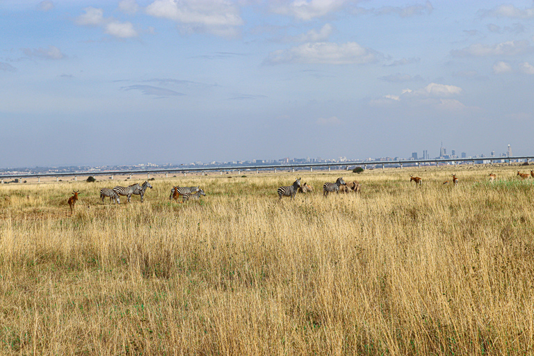 Nairobi National Park, Giraffe Center, Orpanage &amp; Bomas Trip