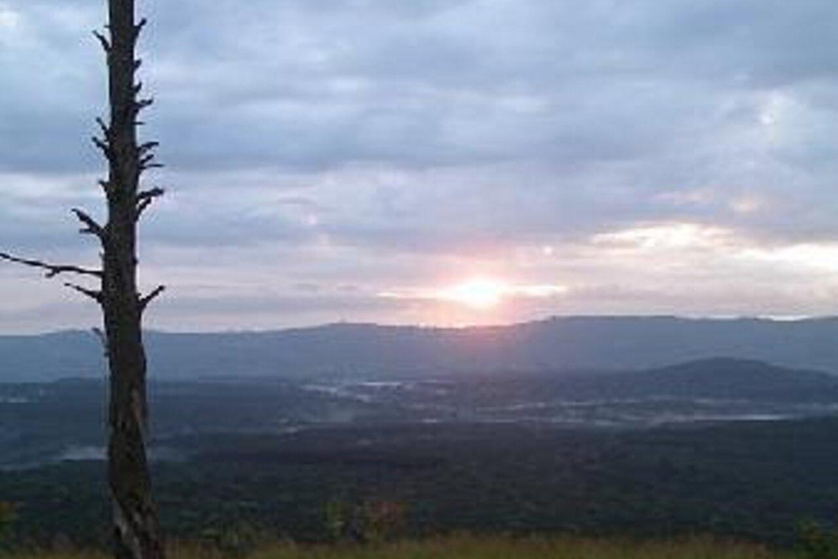 Kakamega Forest: Butterfly Walk with Naturalist Guide