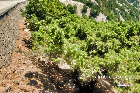 Imbros Gorge Hike: Chania Pickup & Return Transfer Included