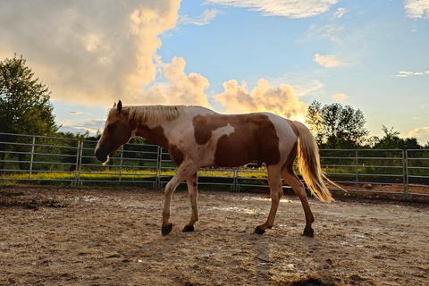 Plitvice: Horseback Riding Tour with Cave Entry Ticket Ride to Barać Caves (Half‑day Horseback Tour)