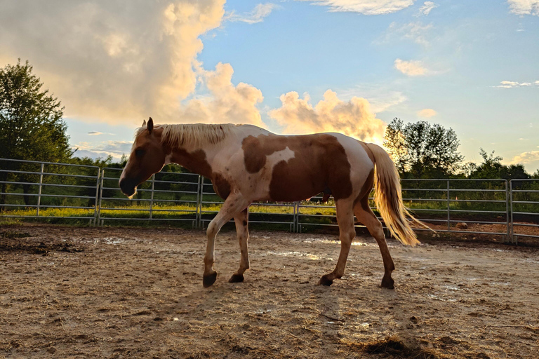 Plitvice: Horseback Riding Tour with Cave Entry Ticket Ride to Barać Caves (Half‑day Horseback Tour)