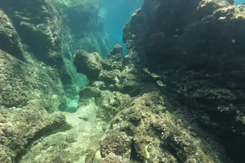 Elafiti: Grutas, Praias, Lugares antigos, Diversão em 5h de viagem