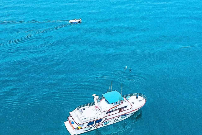 Boat Adventure: XXL Slides, Snorkeling, Activities, Lunch, and Pickup Boat Adventure: XXL Slides, Snorkeling, Activities, Lunch, and Pick-Up