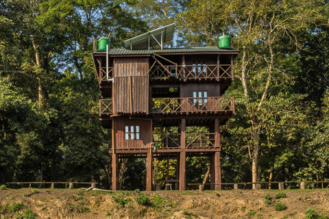 Chitwan Big Five Safari – 5 Days All Inclusive