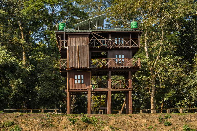 Chitwan Big Five Safari – 5 Days All Inclusive