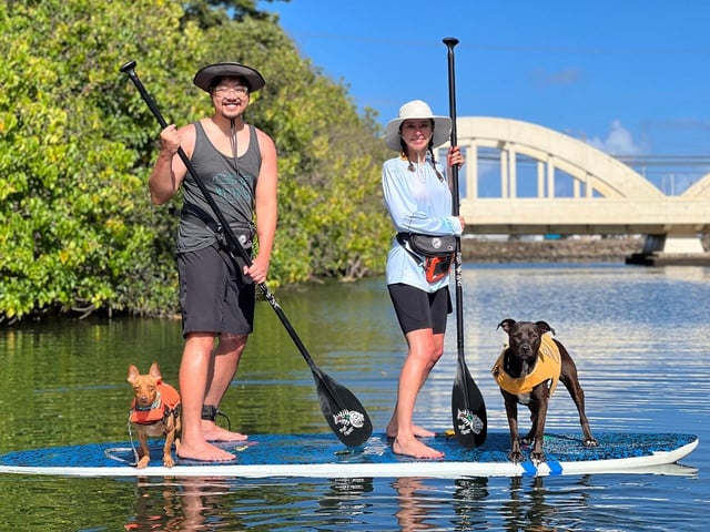 Oahu: SUPDog Experience - Paddle Board with Rescue Dogs