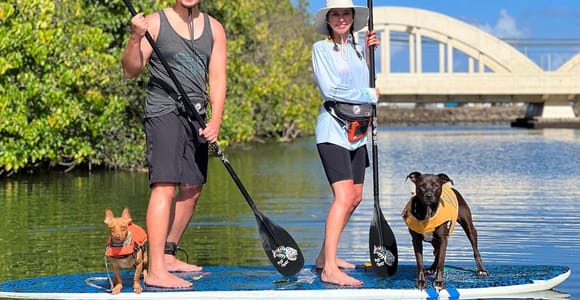 Oahu: SUPDog Experience - Paddle Board with Rescue Dogs